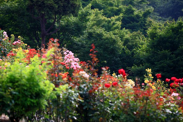 a0242438_19183560.jpg
