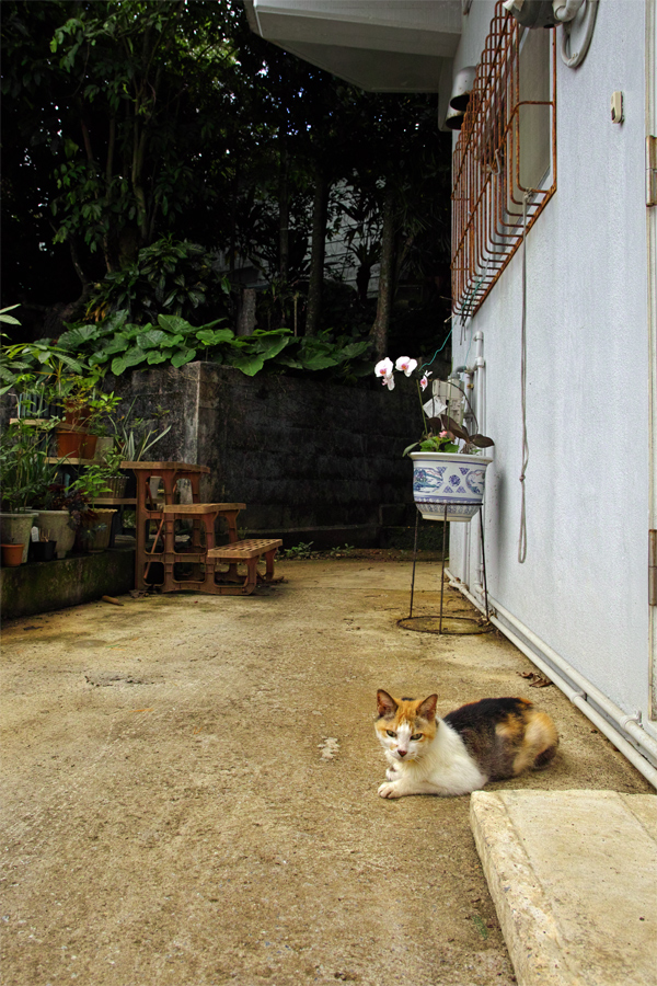b0162847_1519126.jpg