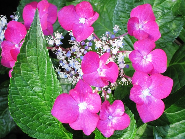 b0289649_10144557.jpg