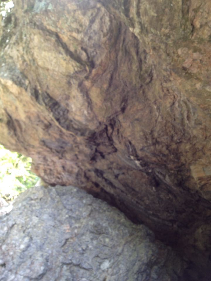 e0324450_22125380.jpg