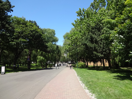 f0198556_11495891.jpg
