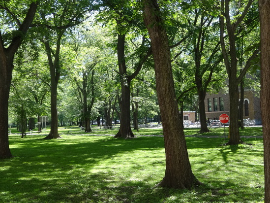 f0198556_11532273.jpg