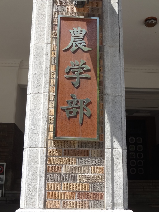 f0198556_11535997.jpg