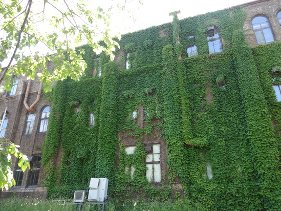 f0198556_11552716.jpg