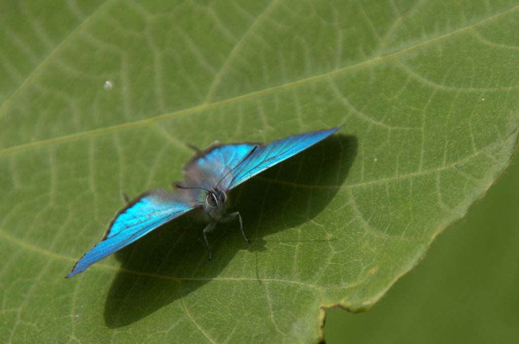 d0098057_4134168.jpg