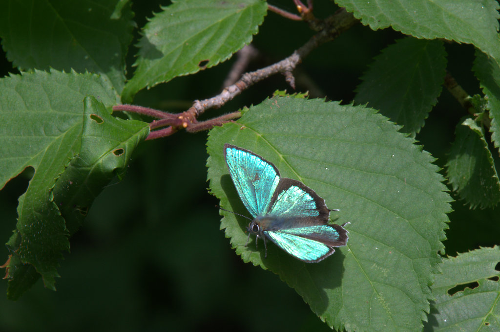 d0098057_4141629.jpg