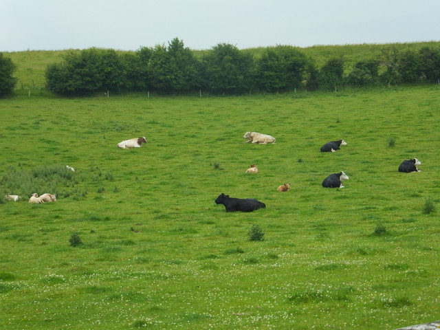f0208760_1894825.jpg