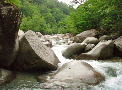 b0106061_01411571.jpg