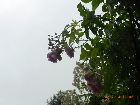 b0075364_2215433.jpg