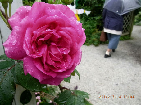 b0075364_2215765.jpg