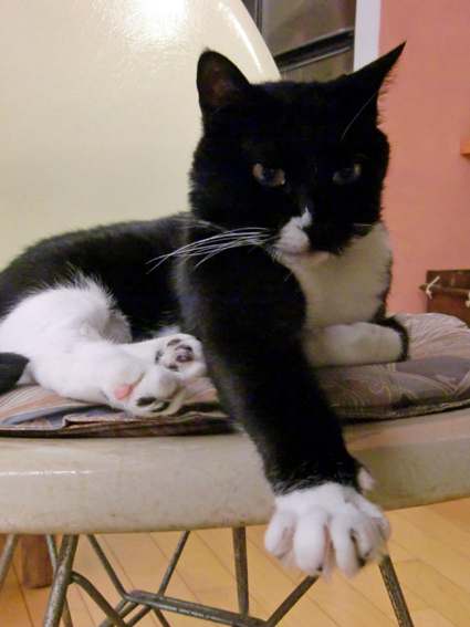 c0226874_20104058.jpg