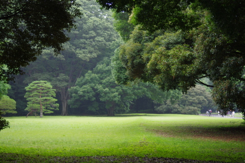 f0054677_09102280.jpg