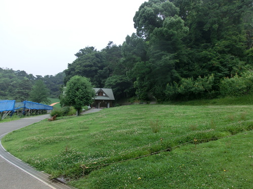 e0123587_23172646.jpg