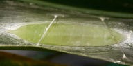 b0194593_144338.jpg