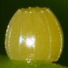 b0194593_1451673.jpg