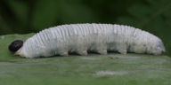 b0194593_1485990.jpg