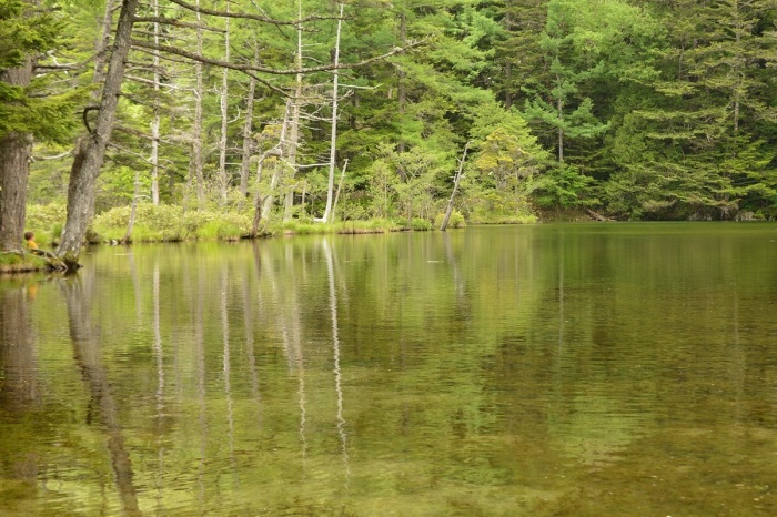 f0268294_20424780.jpg