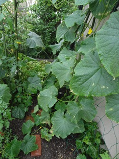 b0146196_014596.jpg