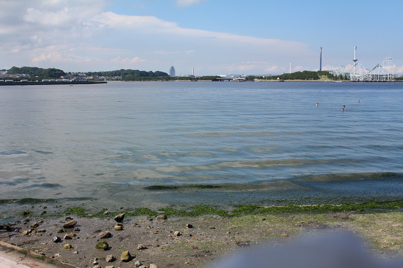 c0204298_12581632.jpg