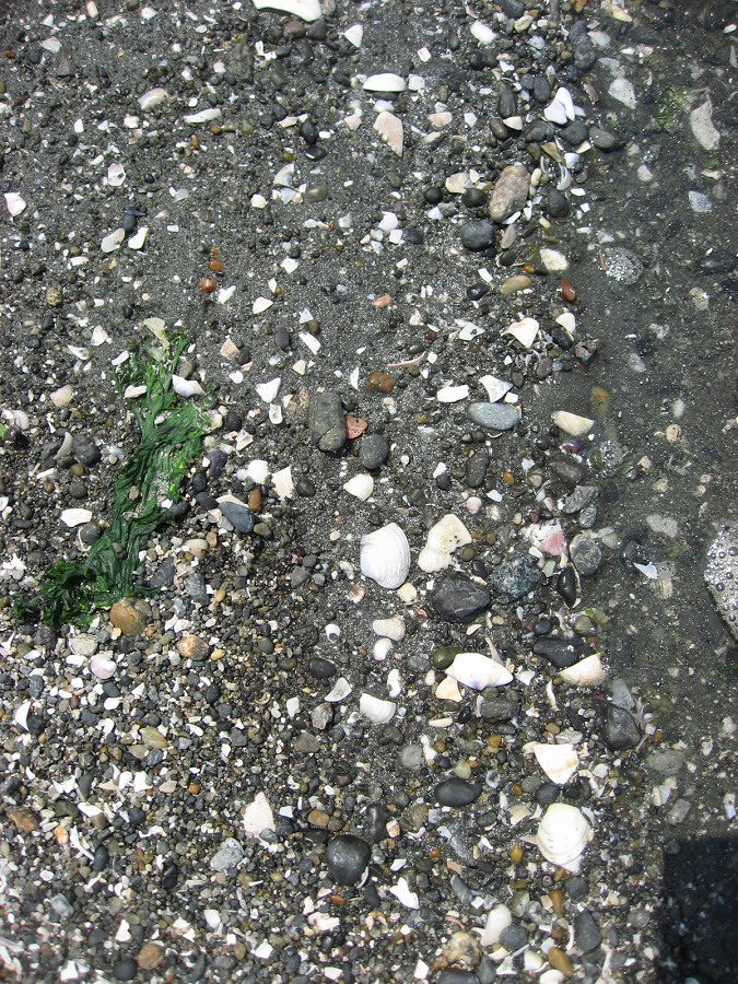 c0204298_13518.jpg
