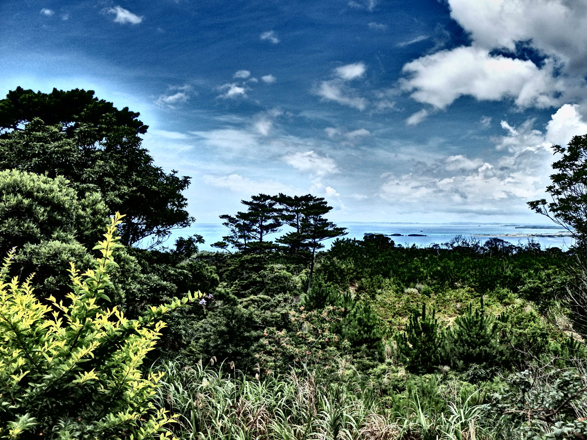 e0064400_2138464.jpg