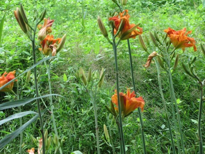 e0033301_9382290.jpg