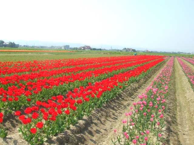 c0062603_13500666.jpg
