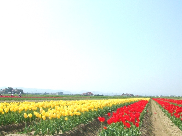 c0062603_13504018.jpg