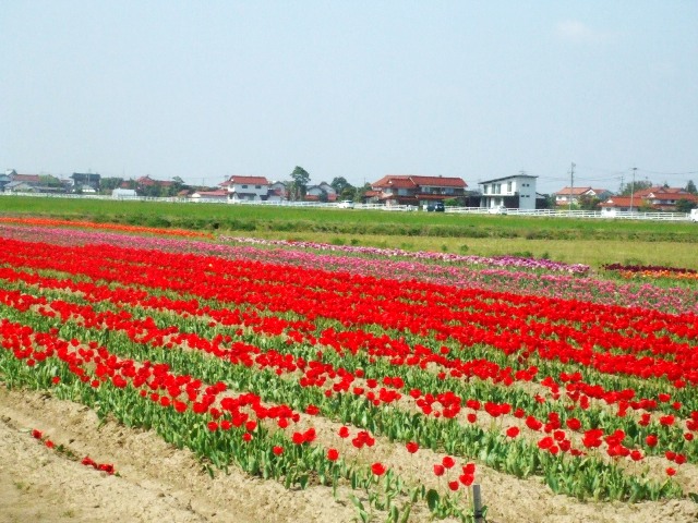 c0062603_13512846.jpg