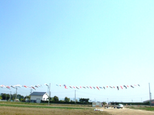 c0062603_13524066.jpg