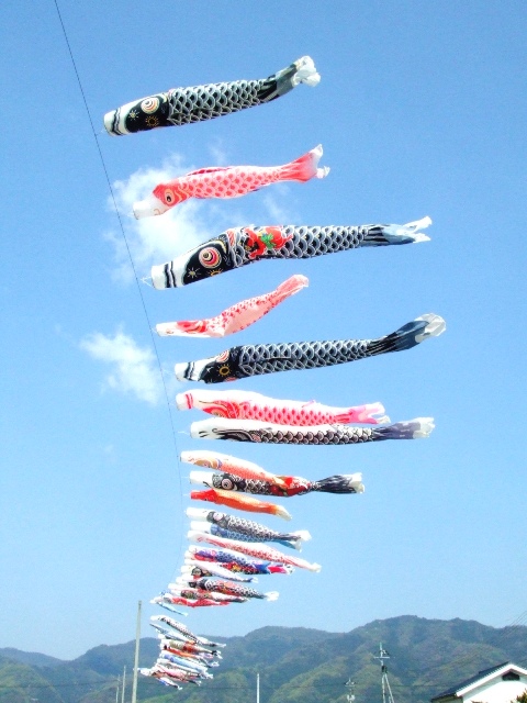 c0062603_13525276.jpg