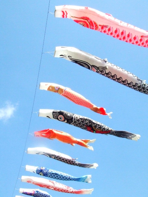 c0062603_13530310.jpg