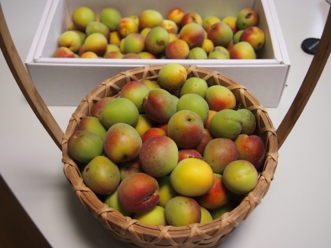 c0117007_1620495.jpg