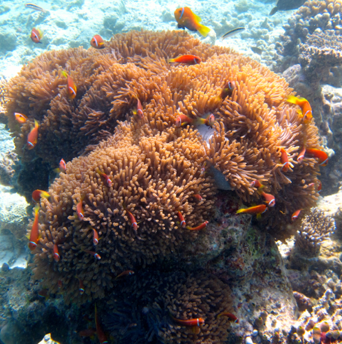 d0298808_20374674.jpg