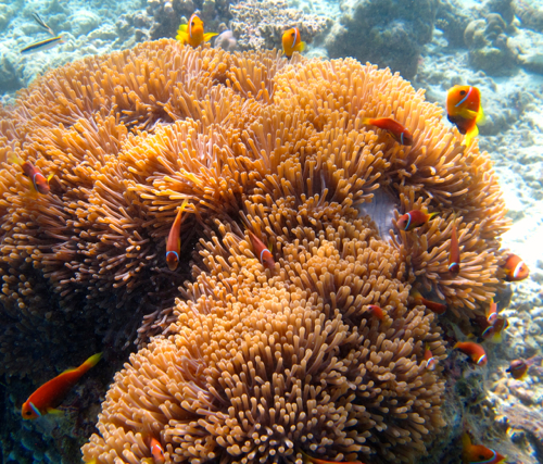 d0298808_20381469.jpg