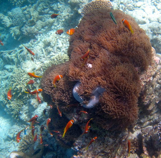 d0298808_20491130.jpg