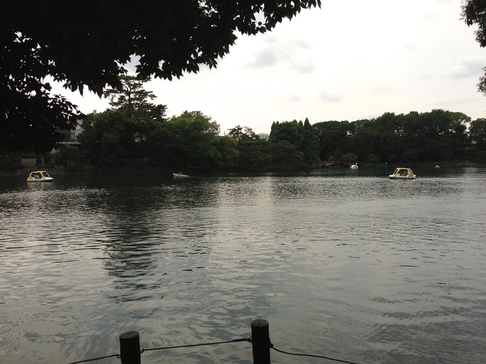 c0114110_233209.jpg