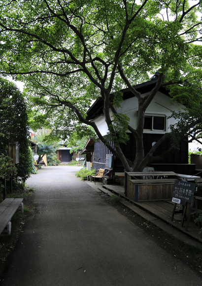 c0186410_8164554.jpg