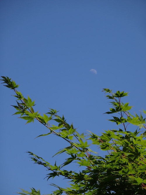 c0279611_20421886.jpg