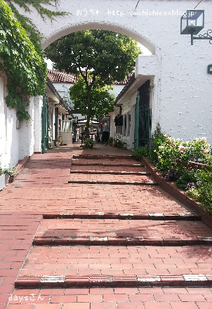 b0072115_2041020.jpg