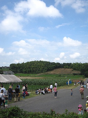 d0120421_833340.jpg