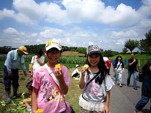 d0120421_8333819.jpg