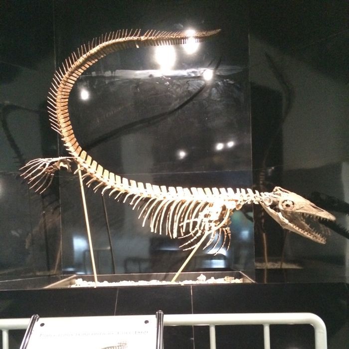 c0320623_1941190.jpg