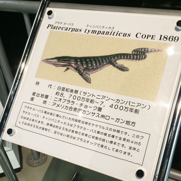 c0320623_1941287.jpg