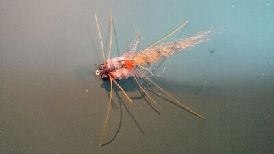 b0259124_9252081.jpg