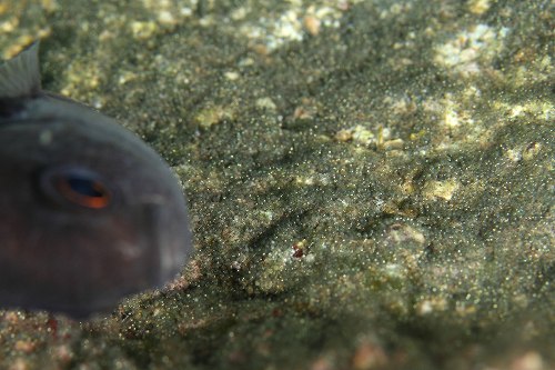 f0206424_1131458.jpg