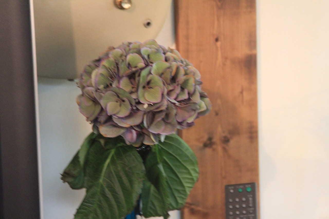 f0225627_18575733.jpg