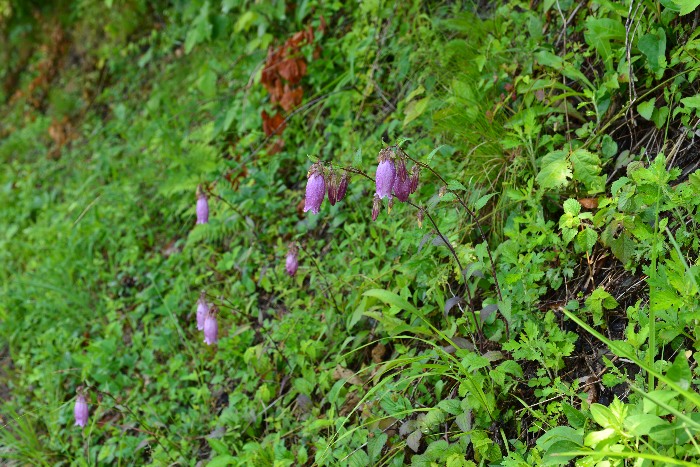 b0236334_21064.jpg