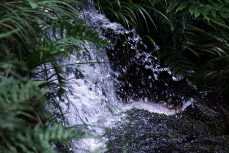 c0068639_23323512.jpg