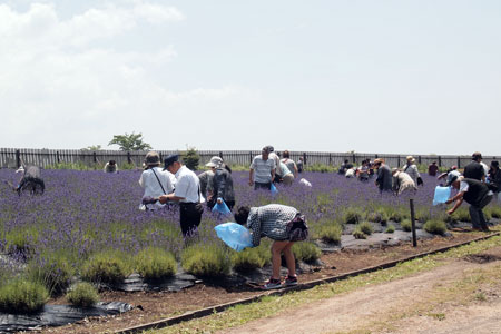 c0068639_2355818.jpg